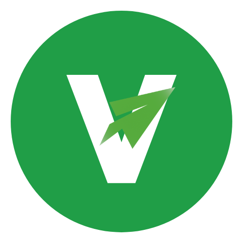 Visernic Limited Logo